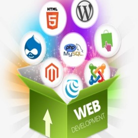 web-development-service